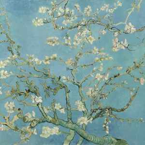 Almendro en Flor