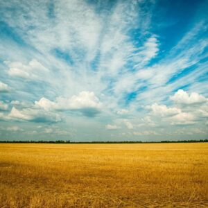 Campo Cielo