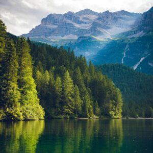 Lago Boscoso